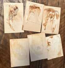 Load image into Gallery viewer, Lot of 6 Antique 1860s Dog CDV Photos