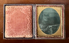 Load image into Gallery viewer, TABBY CAT ANTIQUE TINTYPE PHOTO 1850s CASE ORIGINAL 1800s RARE ANIMAL
