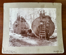 Load image into Gallery viewer, Lot of 5 Rare Antique Logging Photos Sequoia National Forest 1890s