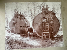 Load image into Gallery viewer, RARE Amazing Lot of 5 Antique Logging Photos Sequoia National Forest 1890s
