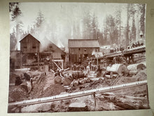 Load image into Gallery viewer, RARE Amazing Lot of 5 Antique Logging Photos Sequoia National Forest 1890s