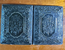 Load image into Gallery viewer, 1/4 Ambrotype Photo Pretty Woman And Her Dog 1850s