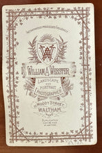 Load image into Gallery viewer, Great Antique Photo of a Big Dog 1890s Waltham Massachusetts