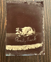 Load image into Gallery viewer, "Baby Earle" Nervous Kitten Moves Head During Exposure 1870s Tintype Cat Photo