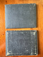 Load image into Gallery viewer, Half Plate Ambrotype People & Dog in Front of House Dorchester Massachusetts