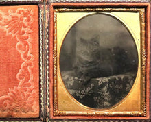 Load image into Gallery viewer, TABBY CAT ANTIQUE TINTYPE PHOTO 1850s CASE ORIGINAL 1800s RARE ANIMAL