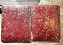 Load image into Gallery viewer, 1/4 AMBROTYPE SAD LADY AMAZING TINTED DRESS HOLDING PHOTO PIP MOURNING? 1800s