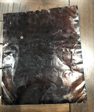 Load image into Gallery viewer, Giant Tintype Folk Art Style Painted Tintype 12 x 10 Group Shot