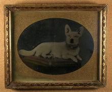 Load image into Gallery viewer, Rare Folk Art Painted Tintype Photo Little Dog Original Antique Frame Painting