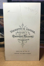 Load image into Gallery viewer, Series of TWO CDVs Same Cute Kittens Cats In Front Of A Painting Antique Photo