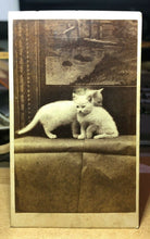 Load image into Gallery viewer, Series of TWO CDVs Same Cute Kittens Cats In Front Of A Painting Antique Photo