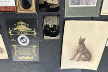 Load image into Gallery viewer, Antique Photo Lot CDV Tintype Cabinet Card Daguerreotype Ambrotype Dog 1860s
