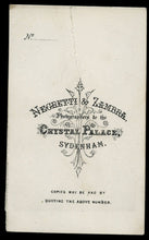 Load image into Gallery viewer, Series of TWO CDVs Same Cute Kittens Cats In Front Of A Painting Antique Photo