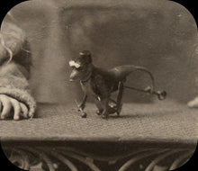 Load image into Gallery viewer, Baby Grace with Funny Mechanical Monkey Toy Chatsworth Plantation Louisiana