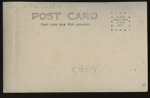 Load image into Gallery viewer, Woman Mourning Her Dog / Rare Pet Post Mortem