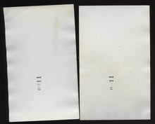 Load image into Gallery viewer, Weird Antique Snapshot Photos Woman in Creepy 2-FACED Halloween Costume UNUSUAL