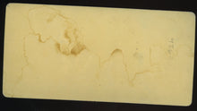 Load image into Gallery viewer, Antique 1870s Stereoview Photo // Dog Doing a Trick