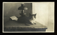 Load image into Gallery viewer, TWO Beautiful Vintage Antique CAT Snapshot Photos - Piano Bench, Window Light, Mouse Toy