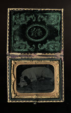 Load image into Gallery viewer, sleeping spaniel dog - antique tintype photo in case, 1860s