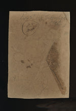 Load image into Gallery viewer, antique 19th century photo african american / black couple with umbrellas