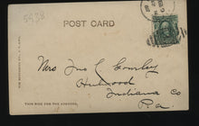 Load image into Gallery viewer, "Dead to the World" - Sleeping Cat 1905 Photo Postcard