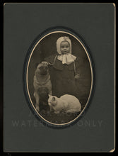 Load image into Gallery viewer, Wonderful Antique Photo Little ID'd Girl Pet Pug ?? Dog & White Cat 1800s 1900s