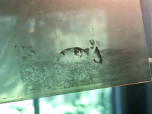 Load image into Gallery viewer, 25 Antique Stereoscopic Glass Slide Negatives Dated 1917 in Art Deco Storage Box