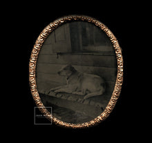Load image into Gallery viewer, Antique Tintype Labrador Dog on Porch of House! Oval Case 1850s 1860s Pet Photo