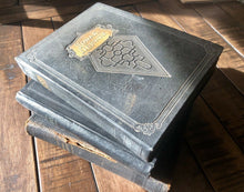 Load image into Gallery viewer, 3 quality antique or vintage snapshot albums with 451 photos & postcards