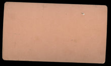 Load image into Gallery viewer, Rare 1800s Political Photo Anti President Garfield Mob Pony Express Sign, Dog 3D