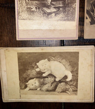 Load image into Gallery viewer, Lot Antique 1860s Album Art CDV George Washington Cats Civil War Solider Imprint