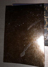 Load image into Gallery viewer, Two Armed Cowboys, 1800s Tintype Photo Antique Western Men Rare Revolver