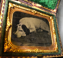 Load image into Gallery viewer, sleeping spaniel dog - antique tintype photo in case, 1860s