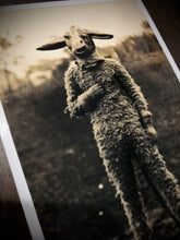 Load image into Gallery viewer, Mr. Mutton