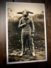 Load image into Gallery viewer, Mr. Mutton