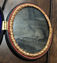 Load image into Gallery viewer, Antique Tintype Labrador Dog on Porch of House! Oval Case 1850s 1860s Pet Photo