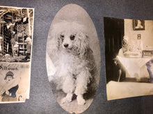Load image into Gallery viewer, Antique Photo Album 100+ Old Photos Nuns, Dogs.. Other Unusual & Creepy
