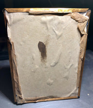 Load image into Gallery viewer, 1/4 Ambrotype Handsome Man Suit Large Tie Beard - Texas / Southwest?