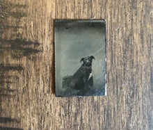 Load image into Gallery viewer, Miniature Gem Tintype Photo Cute Little Dog In Chair 1860s 1870s