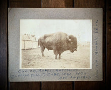 Load image into Gallery viewer, Rare Antique 1900s Photo Buffalo Bill Cody Wild West Show Buffalo Wyoming 1905