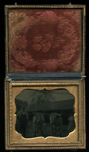 Load image into Gallery viewer, Antique Outdoor Tintype Photo of Man with Oxen or Bulls