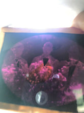 Load image into Gallery viewer, 1/4 Purple Glass Ambrotype, Group of Three Men, Possibly from Virginia