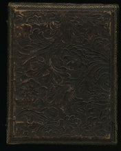 Load image into Gallery viewer, 1/4 Daguerreotype of Little Girls / Sisters in Matching Dresses Holding Flower