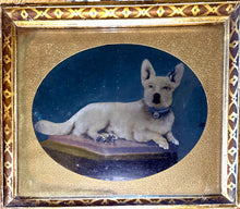 Load image into Gallery viewer, Rare Framed Hand Painted Tintype of a Little Dog 1880s Original Frame
