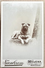 Load image into Gallery viewer, Pug Dog from Helena Montana 1890s Cabinet Card

