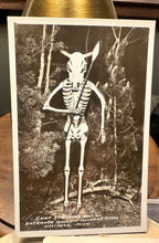 Load image into Gallery viewer, VINTAGE OSSINEKE MICHIGAN RPPC POSTCARD CHIEF STANDING BULL SKELETON

