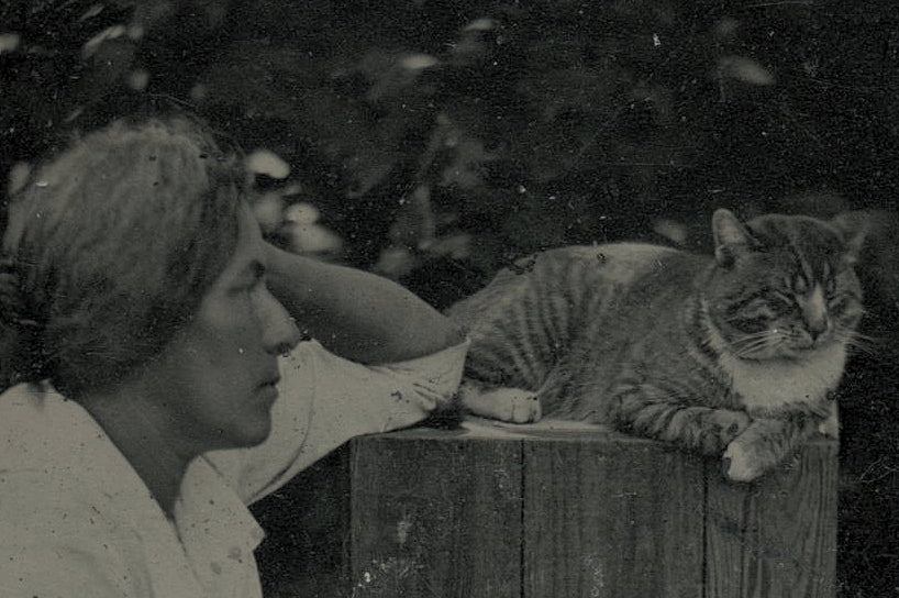 Wonderful Tintype Woman with Pet Tabby Cat