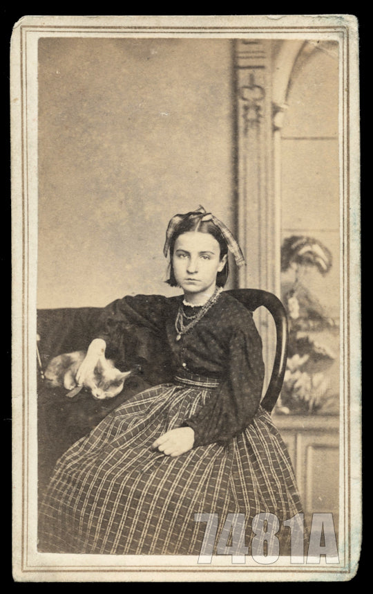 1860s CDV Girl with Sleeping Cat / Kitten Springfield Illinois