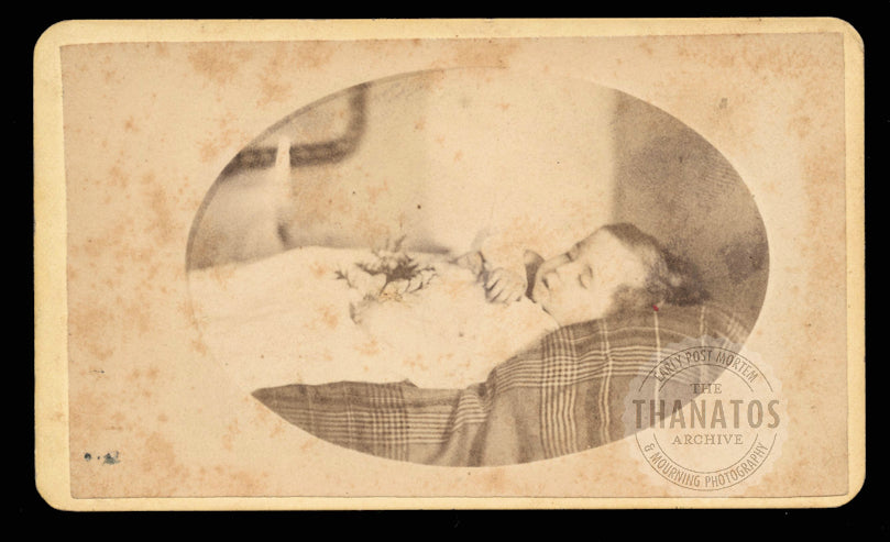 1870s Post Mortem CDV of ID'd Boy Albert Fitch Warren Ohio