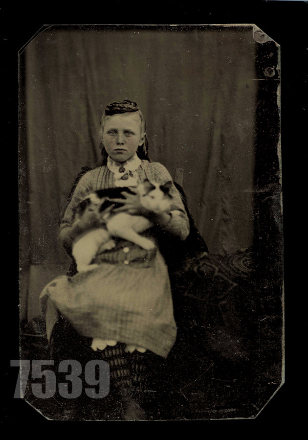 Little Girl Holding Pet Cat in Her Lap! Tintype Photo